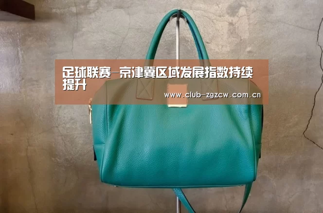 足球联赛-京津冀区域发展指数持续提升(图2) 五大联赛