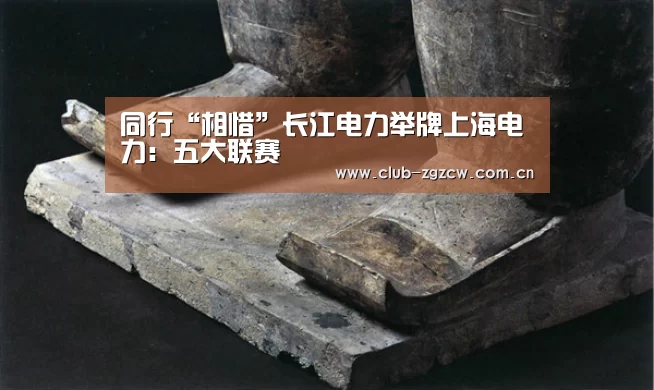 同行“相惜”长江电力举牌上海电力:五大联赛(图2) 五大联赛