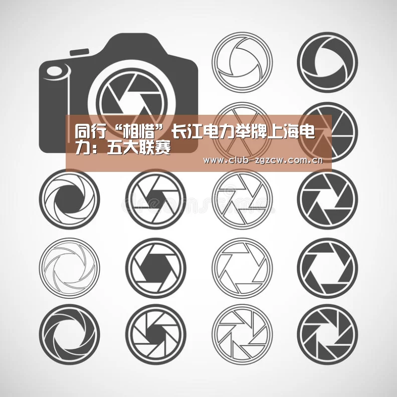 同行“相惜”长江电力举牌上海电力:五大联赛(图1) 美洲杯